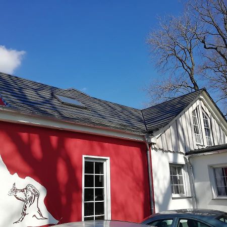 Kleines Studio Im Eichenwaeldchen, 1 Zimmer Kueche Bad Friedrichsgrun Bagian luar foto