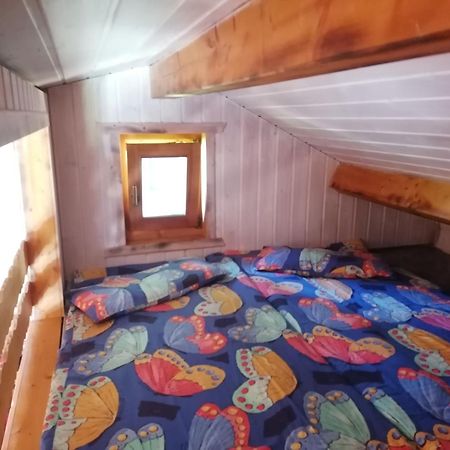 Kleines Studio Im Eichenwaeldchen, 1 Zimmer Kueche Bad Friedrichsgrun Bagian luar foto