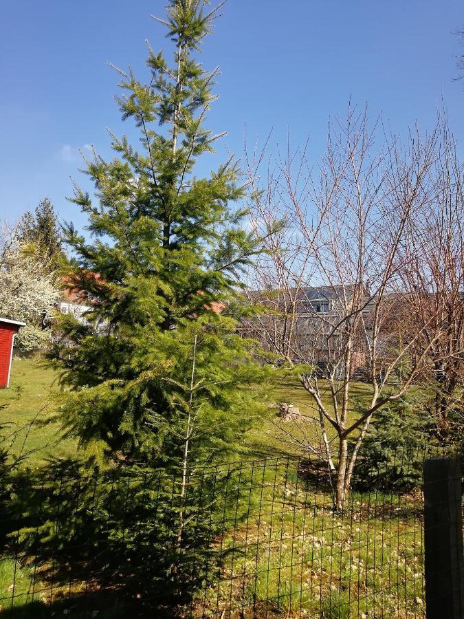Kleines Studio Im Eichenwaeldchen, 1 Zimmer Kueche Bad Friedrichsgrun Bagian luar foto