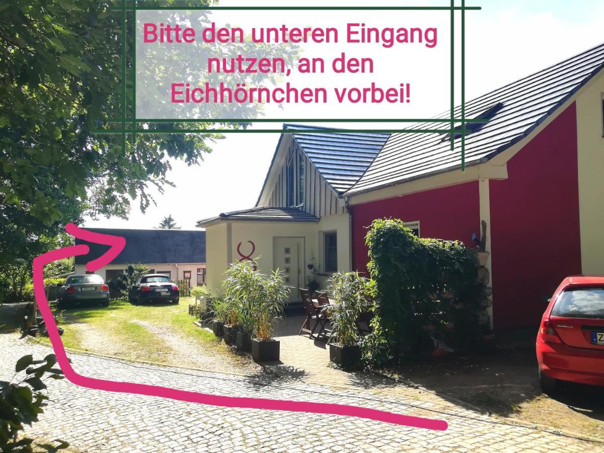Kleines Studio Im Eichenwaeldchen, 1 Zimmer Kueche Bad Friedrichsgrun Bagian luar foto