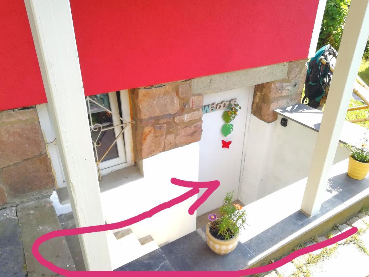 Kleines Studio Im Eichenwaeldchen, 1 Zimmer Kueche Bad Friedrichsgrun Bagian luar foto