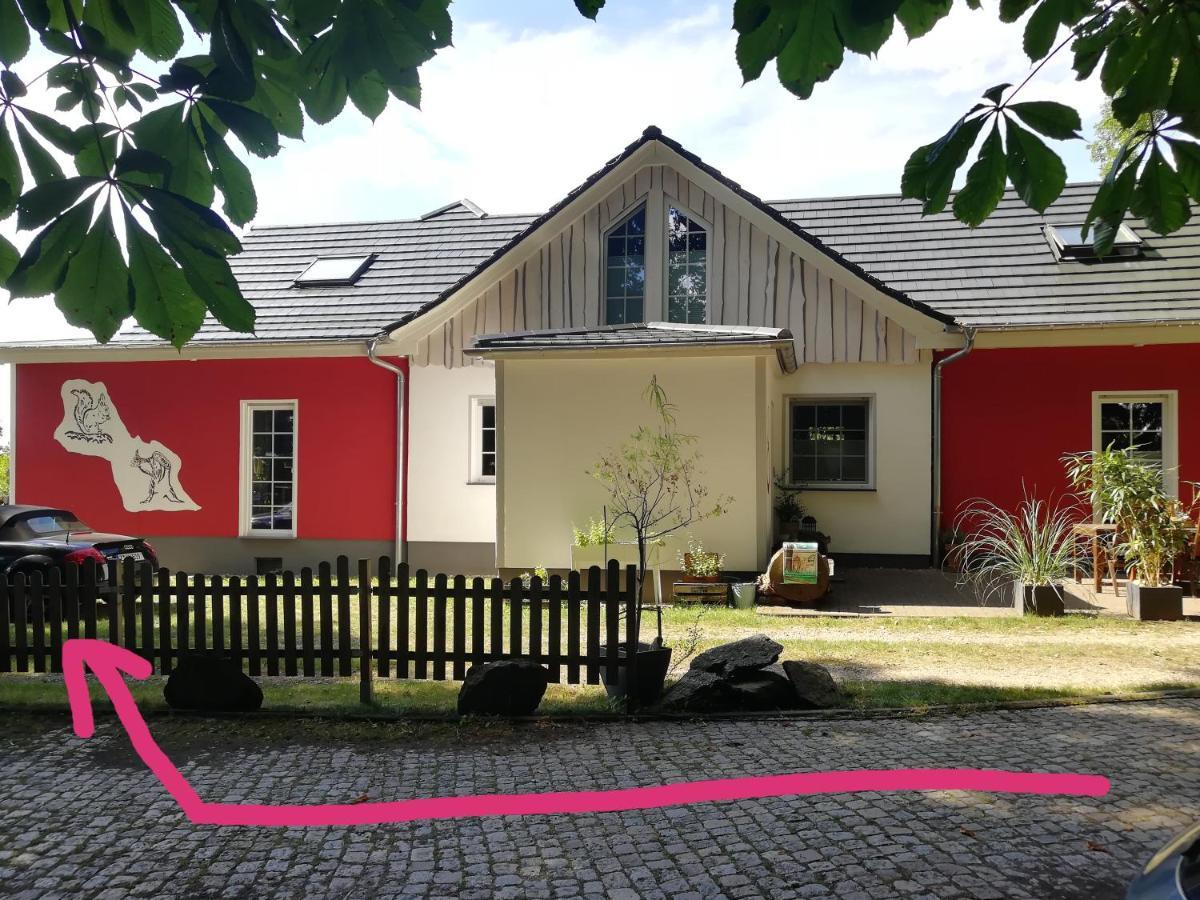 Kleines Studio Im Eichenwaeldchen, 1 Zimmer Kueche Bad Friedrichsgrun Bagian luar foto