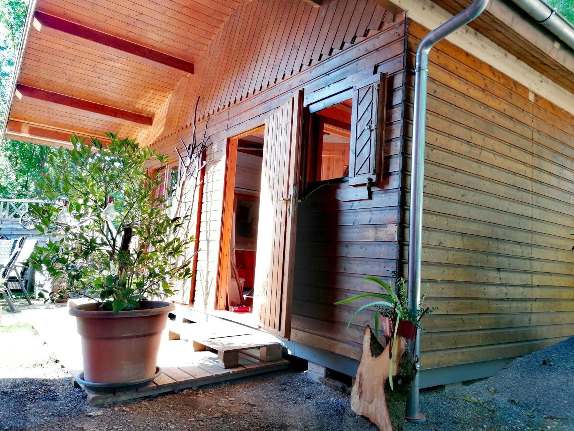Kleines Studio Im Eichenwaeldchen, 1 Zimmer Kueche Bad Friedrichsgrun Bagian luar foto